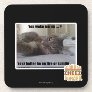 You woke me up coaster