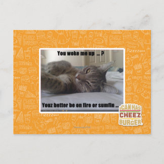 You woke me up postcard