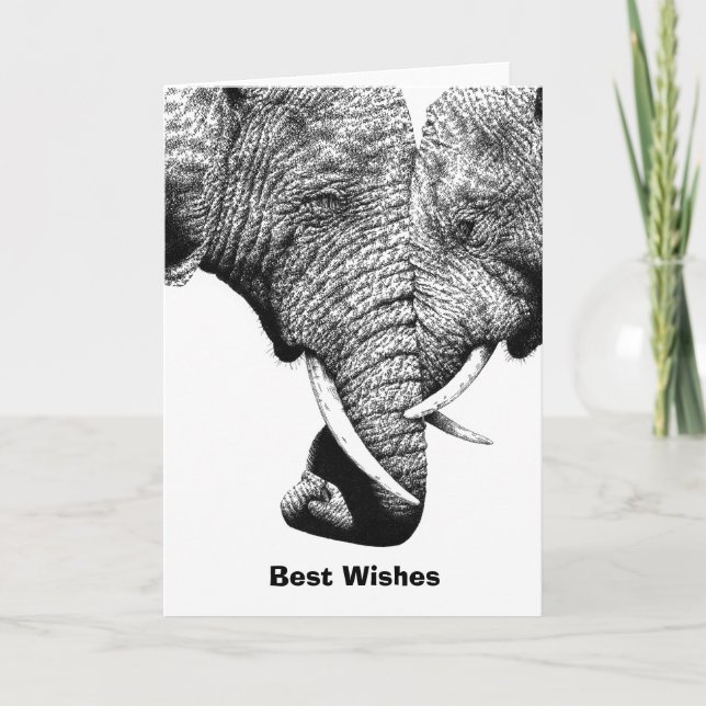Young African Elephants Birthday Card (Front)
