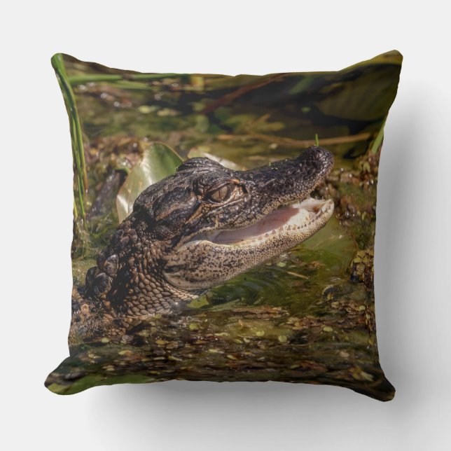Young Alligator Cushion (Front)