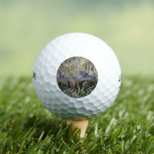 Young Alligator in Florida Marsh Grass Golf Balls