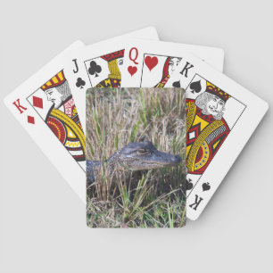 Young Alligator in Marsh Grass Photo Playing Cards