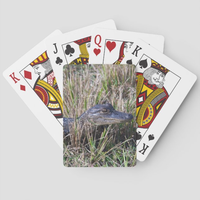 Young Alligator in Marsh Grass Photo Playing Cards (Back)