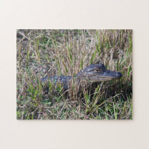 Young Alligator in Marsh Grass Wildlife Nature  Jigsaw Puzzle