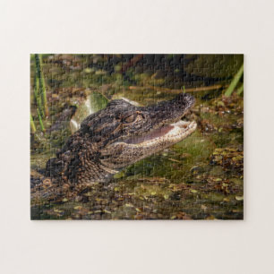 Young Alligator Jigsaw Puzzle