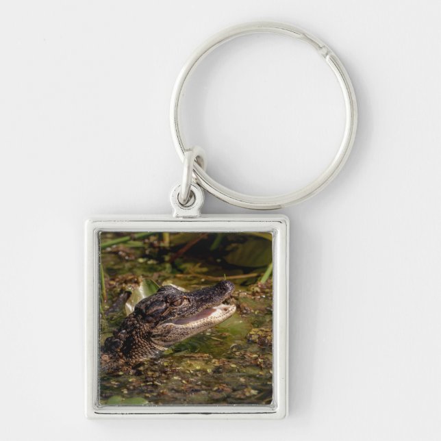 Young Alligator Key Ring (Front)