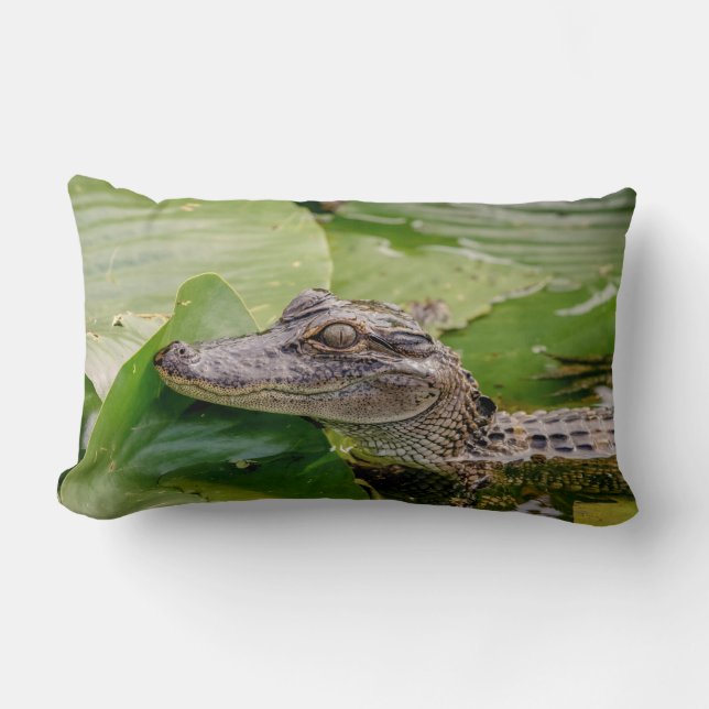 Young Alligator Lumbar Cushion (Front)