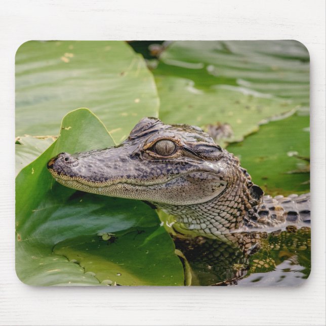 Young Alligator Mouse Pad (Front)