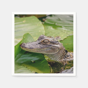 Young Alligator Napkin