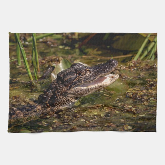 Young Alligator Tea Towel (Horizontal)