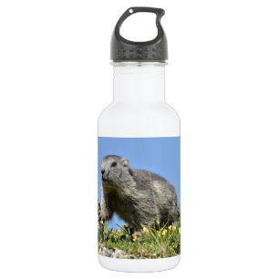 Young Alpine marmot 532 Ml Water Bottle