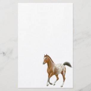 Young Appaloosa Horse Stationery