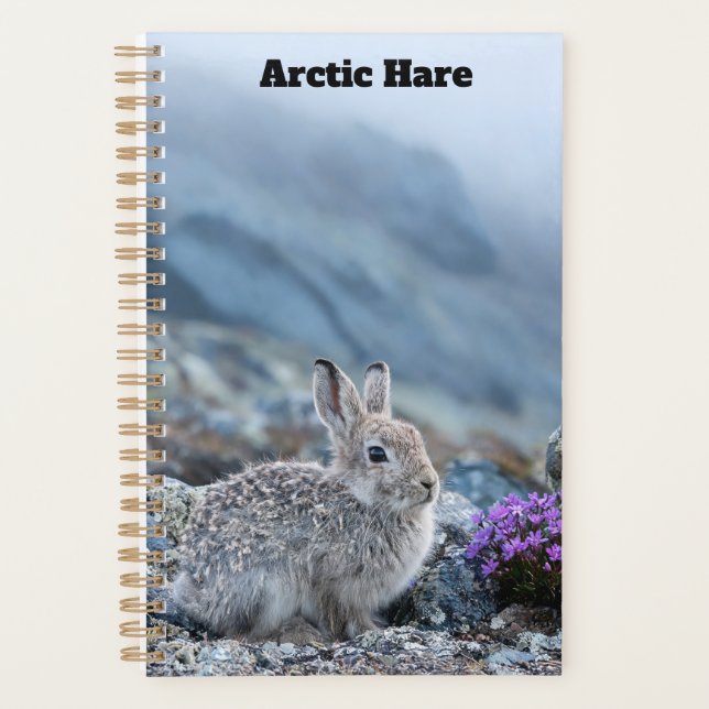 Young Arctic Hare Planner (Front)