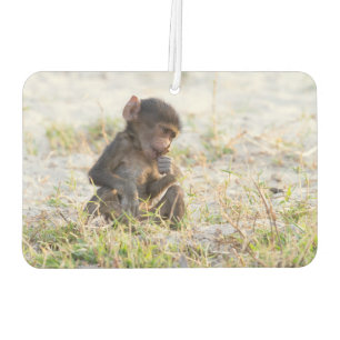 Young Baboon Car Air Freshener
