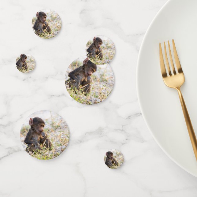 Young Baboon Confetti (Group)