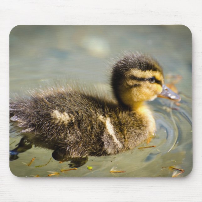 Young Baby Duck Mouse Pad (Front)
