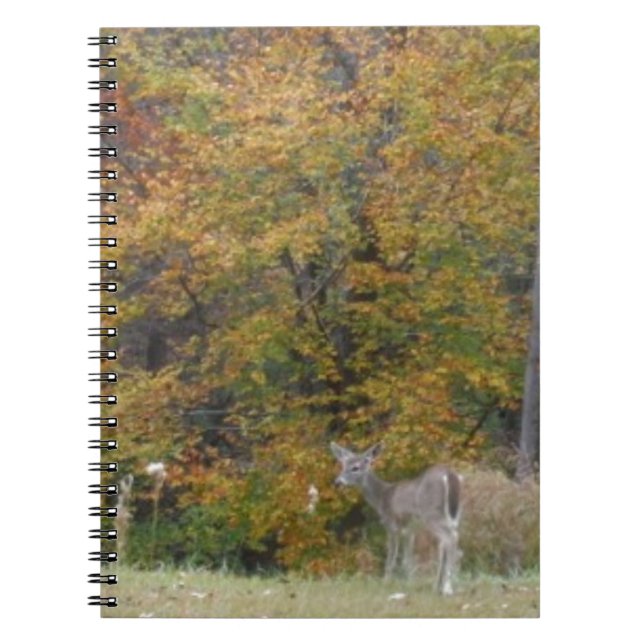 Young Bambi Deer with fall trees. Spiral Notebook (Front)