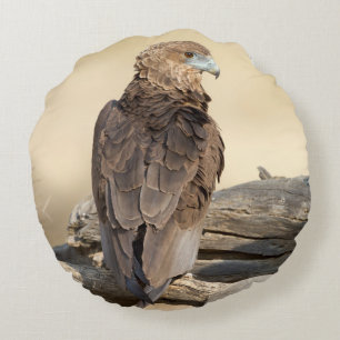 Young Bateleur Round Cushion