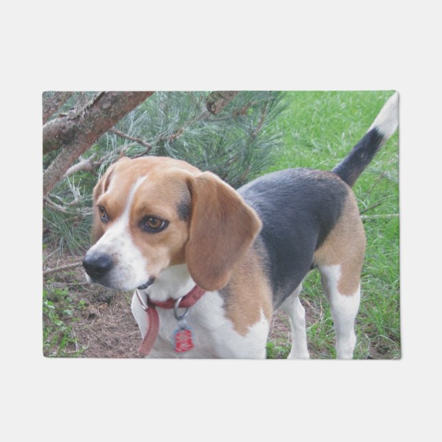 Young Beagle Hound Door Mat (Front)