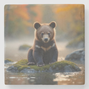 Young Bear in Autumn Stone Coaster
