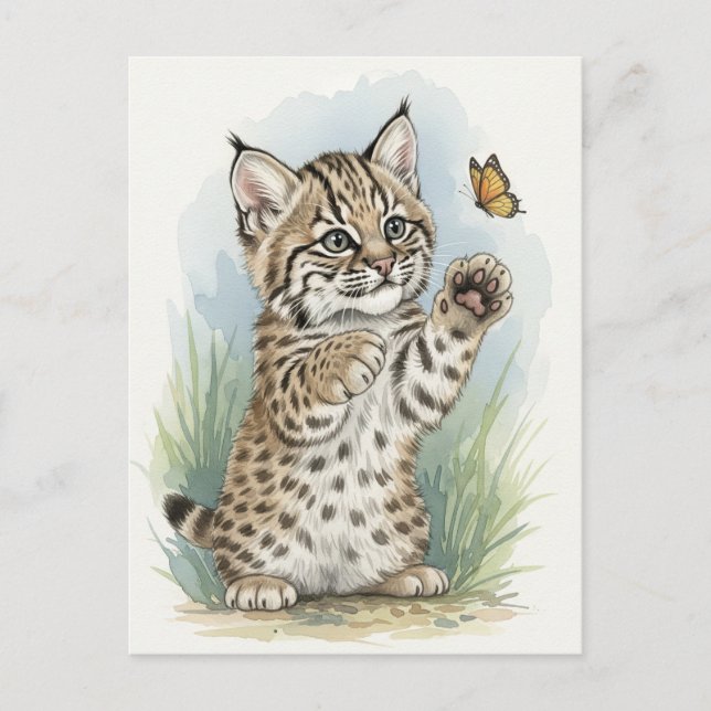 Young Bobcat Kitten Cat Baby Wild Animals Postcard (Front)