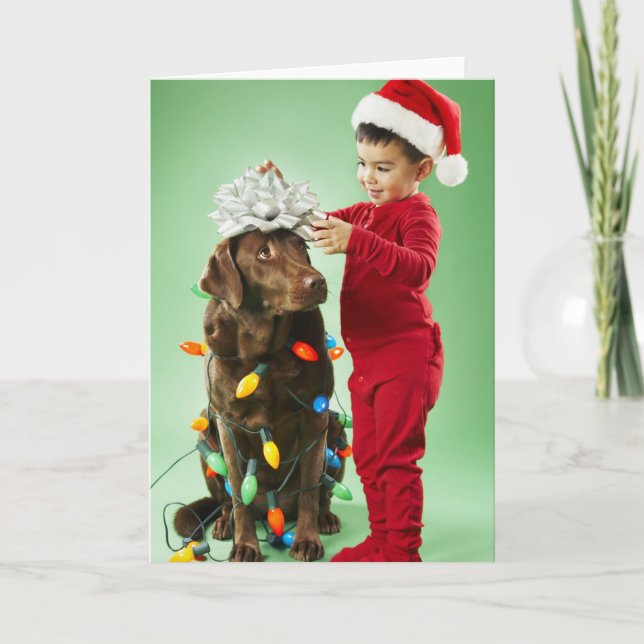 Young boy wrapping Christmas lights around a dog Holiday Card (Front)