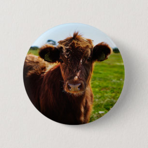 Young Brown Cow in Pasture Field 6 Cm Round Badge