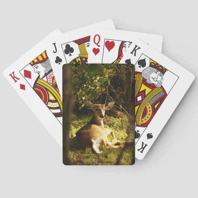 Young Buck Bicycle Playing Cards (Back)