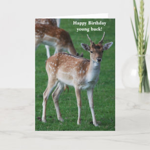 Young Buck Birthday card