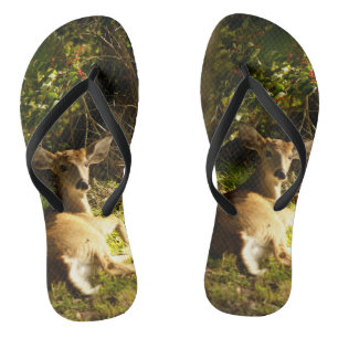 Young Buck in the Meadow Jandals