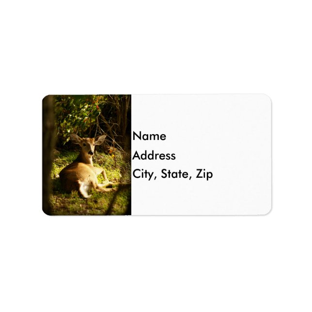 Young Buck in the Meadow Label (Front)