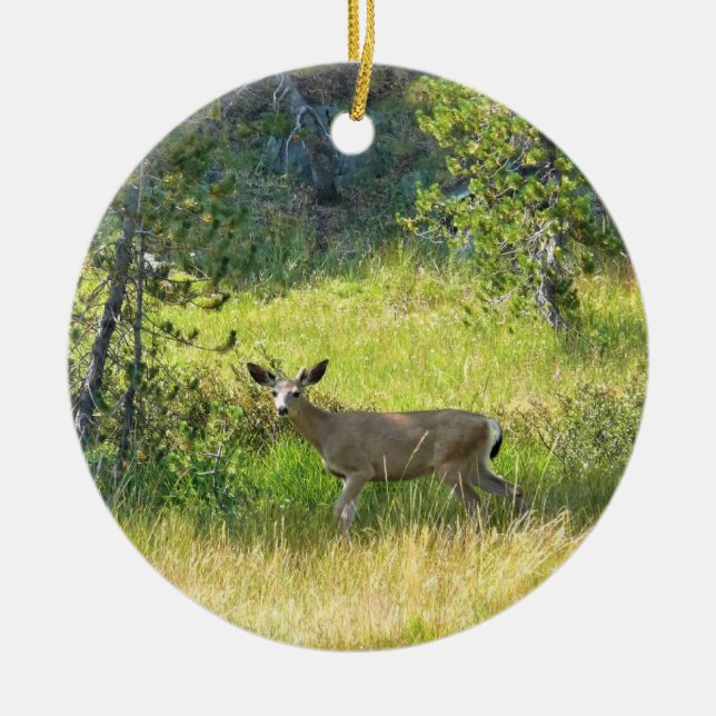 Young Buck in Yosemite, CA Ceramic Tree Decoration (Front)