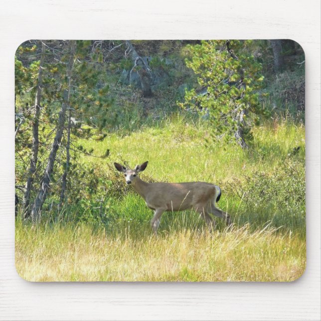 Young Buck in Yosemite, CA Mouse Pad (Front)