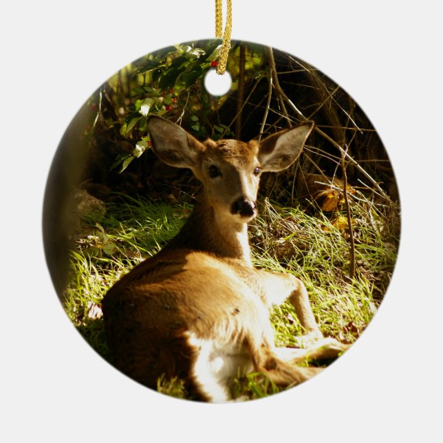 Young Buck Ornament (Front)