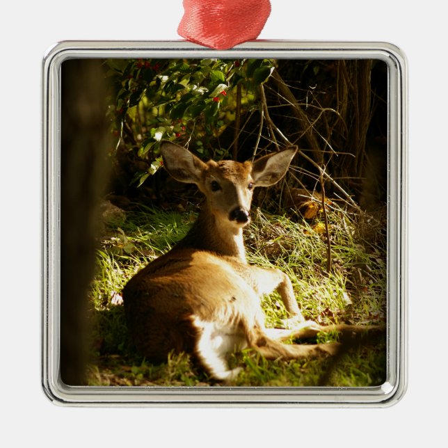 Young Buck Premium Square Ornament (Front)