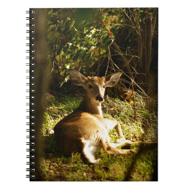 Young Buck Spiral Photo Notebook (Front)