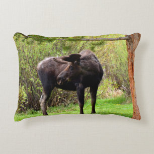 Young Bull Moose Decorative Cushion