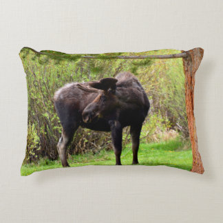 Young Bull Moose Decorative Cushion