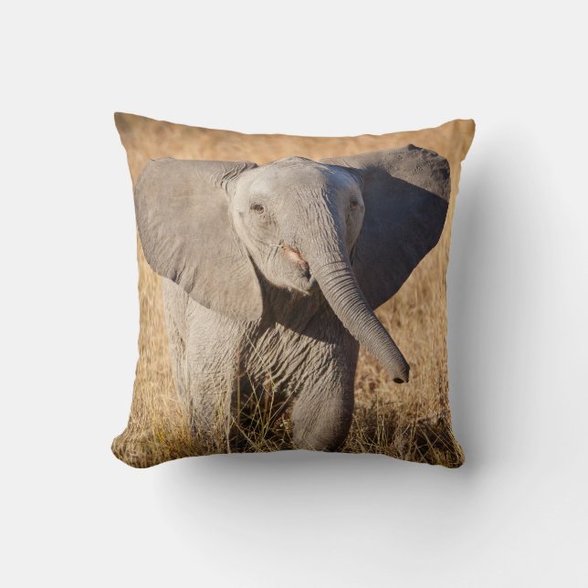 Young Bush Elephant Cushion (Front)