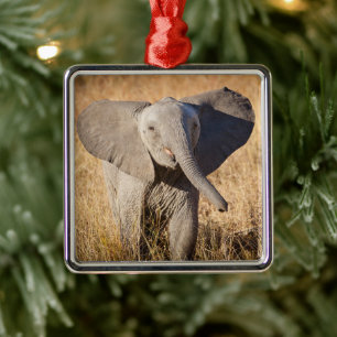 Young Bush Elephant Metal Tree Decoration