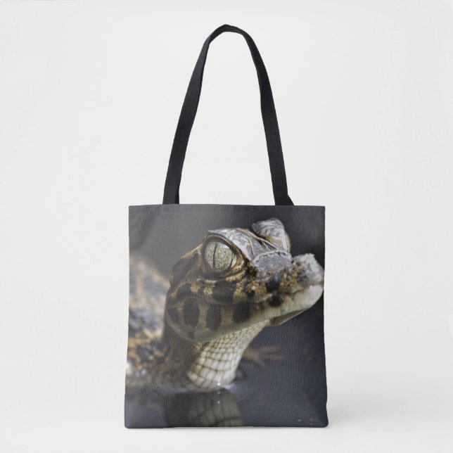 Young cayman in water with reflection tote bag (Front)