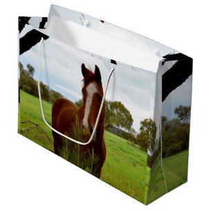 Young Chestnut Horse Sniffing A Banksia Bush, Large Gift Bag