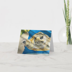 Young child observing turtle card