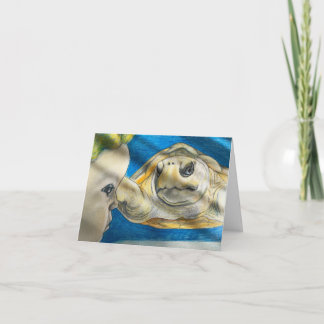 Young child observing turtle card