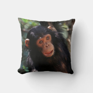Young Chimpanzee Cushion
