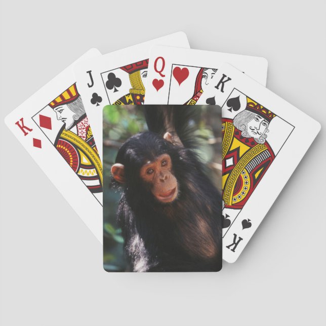 Young Chimpanzee hanging at forest Playing Cards (Back)