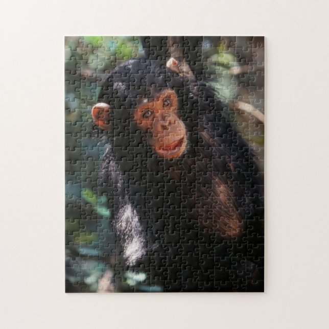 Young Chimpanzee Jigsaw Puzzle (Vertical)
