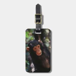 Young Chimpanzee Luggage Tag