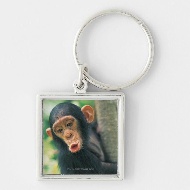 Young Chimpanzee (Pan troglodytes) Key Ring (Front)