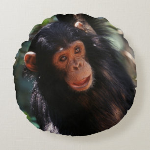 Young Chimpanzee Round Cushion